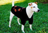 Black Magic Dress Dog Sweater