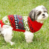 Pachakusi dog sweater/poncho