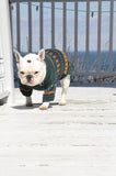 Indigo Teal Dog Sweater